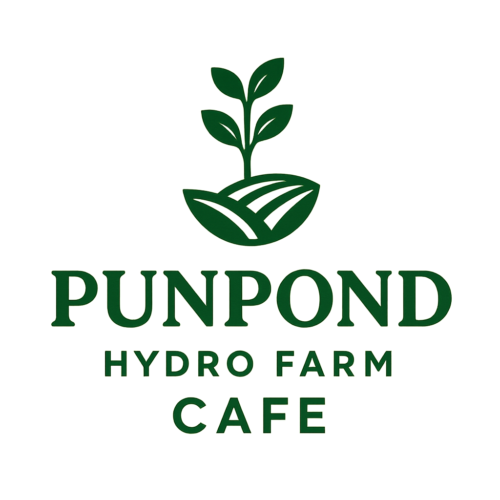 Punpond Logo